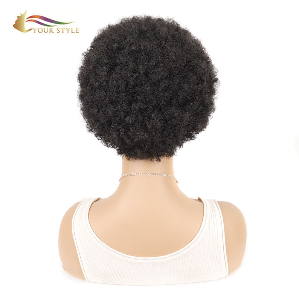 YOUR STYLE, Synthetic Short Kinky Curly Wig  Hairstyles Short Haircuts For Black Women  Afro Wigs For African American-YOUR STYLE, synthetic wigs synthetic hair extension