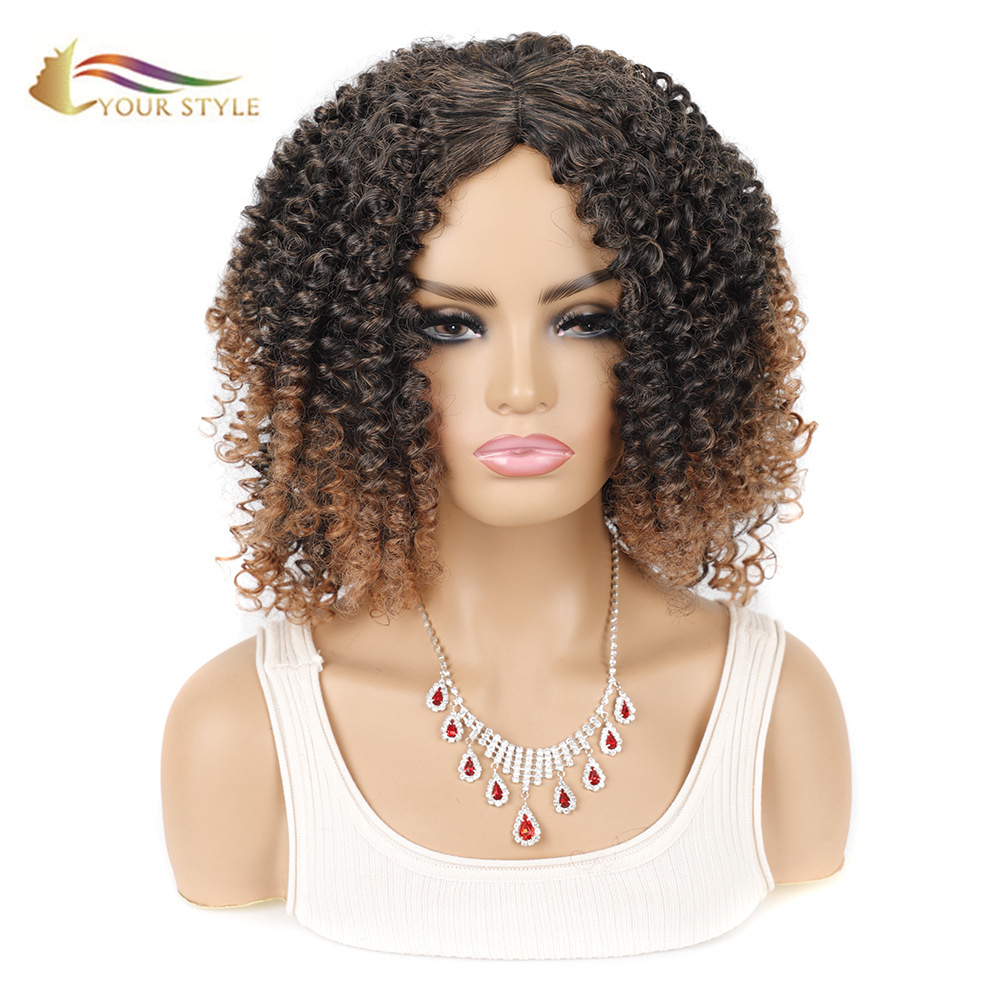 Your STYLE, Hair 공급자 Afro Kinky Curly Wigs Ombre Afro Wig Black Afro American Women-YOUR STYLE, 합성 가발 합성 머리 확장