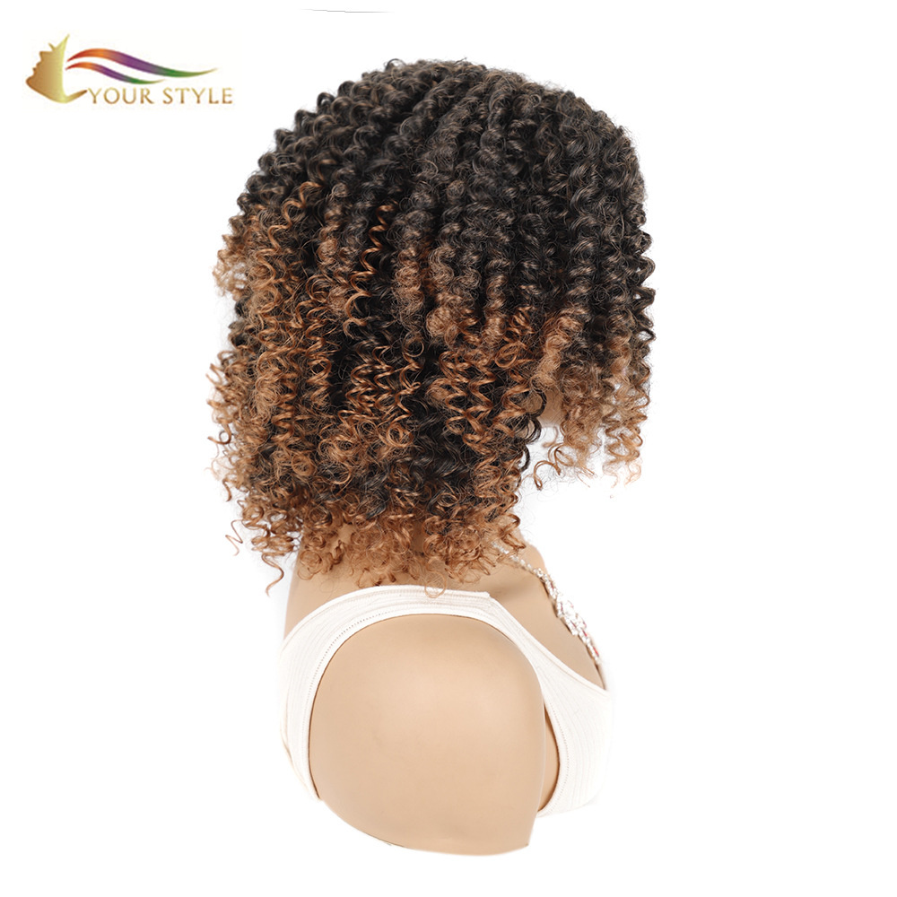 Your STYLE, Hair 공급자 Afro Kinky Curly Wigs Ombre Afro Wig Black Afro American Women-YOUR STYLE, 합성 가발 합성 머리 확장