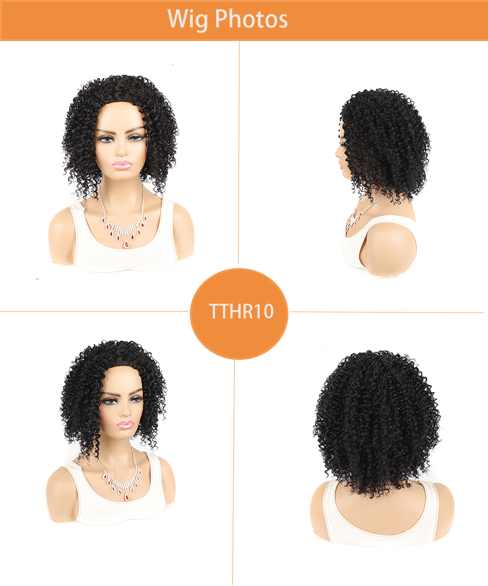 YOUR STYLE , Afro Wig Hair Synthetic Short Kinky Curly Wigs Natural Hair Short Wigs Afro Wigs For African American Black Women-YOUR STYLE, synthetic wigs synthetic hair extension