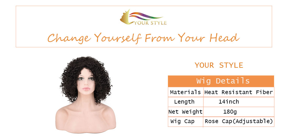 YOUR STYLE Afro Kinky Curly Wigs Female Wigs For Women Afro Wig Black Woman-YOUR STYLE, synthetic wigs synthetic hair extension